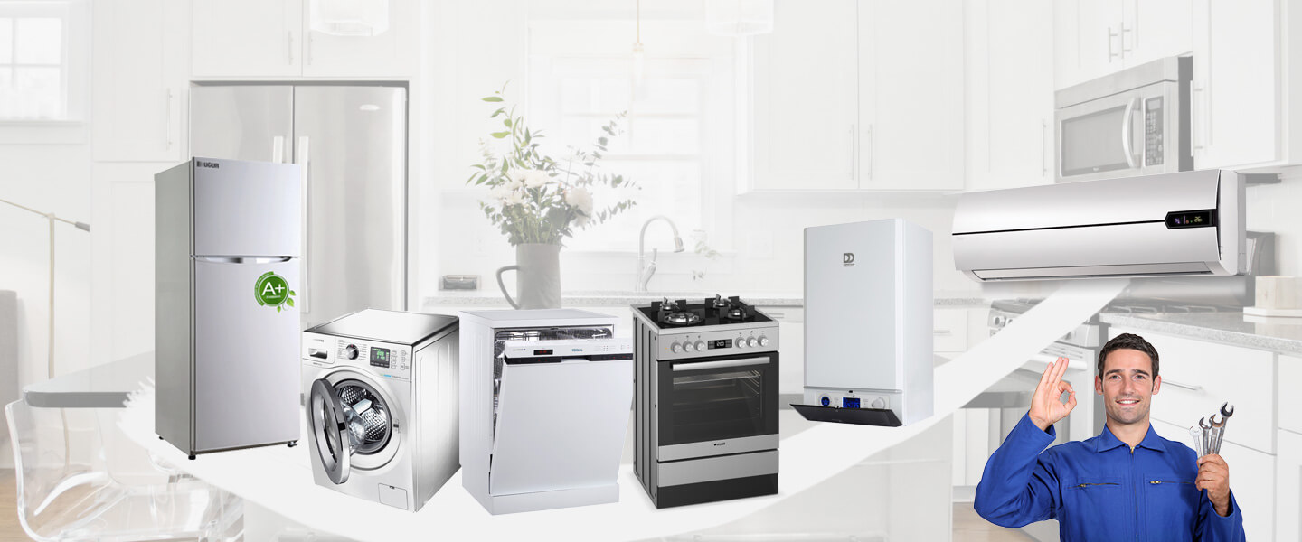Şenpazar Warmhaus Servisi